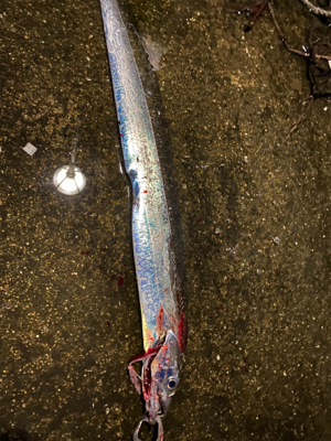 暴風の中、なんとか