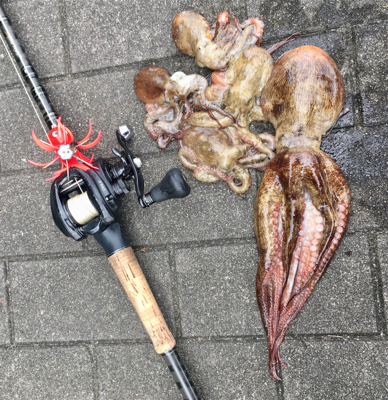 蛸散歩。。5杯。。。