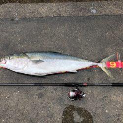雨にも負けず…