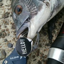 『釣りデビュー(^^)』195日目