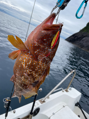 ウミックさんにてSLJ