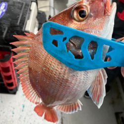 豪雨一つテンヤ