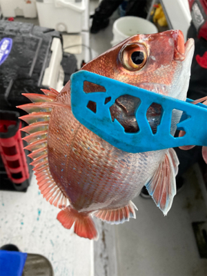 豪雨一つテンヤ