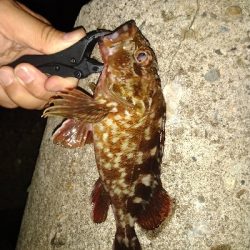 爆風 半端ねー!