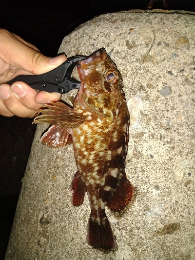 爆風　半端ねー！