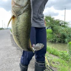 久しぶりの琵琶湖