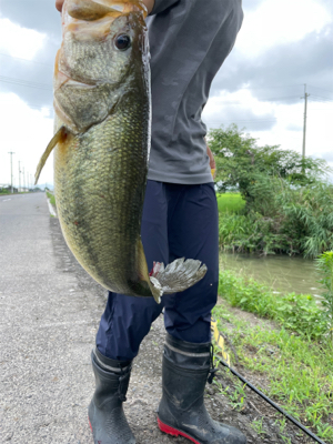 久しぶりの琵琶湖