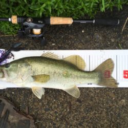 全開放水な琵琶湖