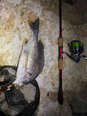 チニング 目標は時速10匹