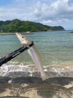 久々のエサ釣り