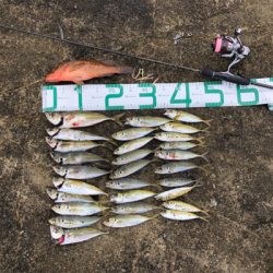 2021 佐渡ヶ島ライトゲーム