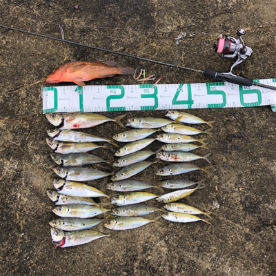 2021 佐渡ヶ島ライトゲーム