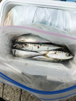 ライトワインド