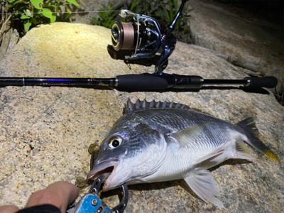 淀川ブリームゲーム