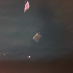 グランブルー　竹野沖　白イカ釣行