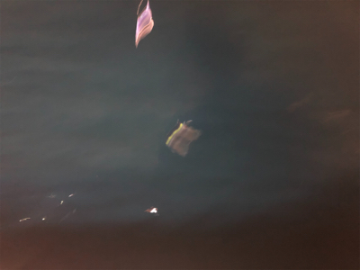 グランブルー　竹野沖　白イカ釣行