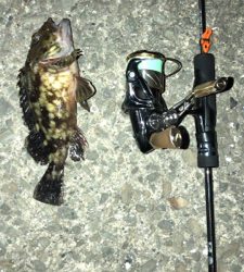 仕事帰りのアジングナイト