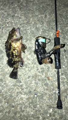 仕事帰りのアジングナイト