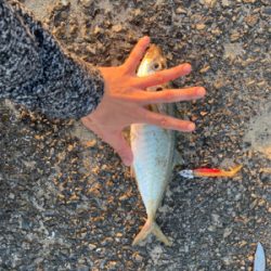 ベイト多すぎて、、。