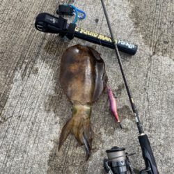 ダメもとで❗️