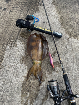 ダメもとで❗️