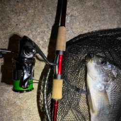 いつまでたってもチニング は難しい