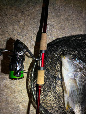 いつまでたってもチニング は難しい