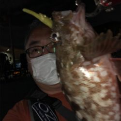 癒しタイム継続中