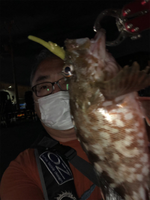 癒しタイム継続中