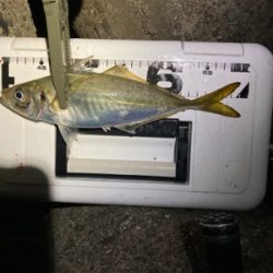 フロートアジング