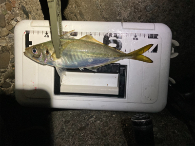 フロートアジング