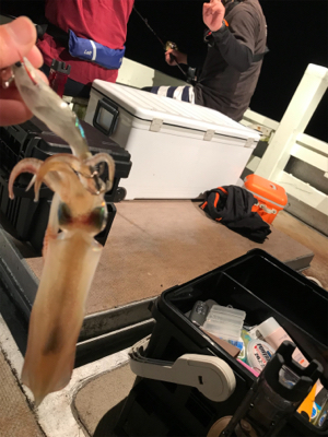 チャーターで楽しく