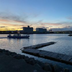 キス釣り、ハゼ釣り