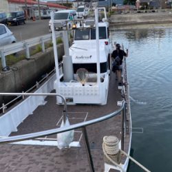 和歌山イカメタル