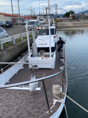 和歌山イカメタル