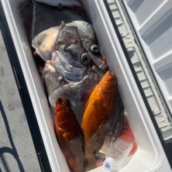 経ヶ岬沖中深海のジギング