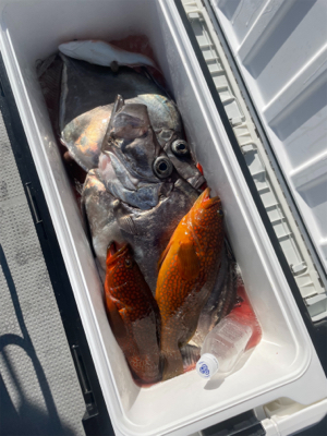 経ヶ岬沖中深海のジギング