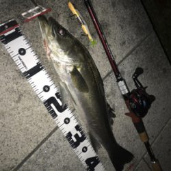 ジョイクロシーバス