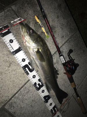 ジョイクロシーバス