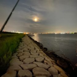 淀川ブリームゲーム