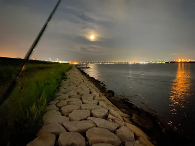 淀川ブリームゲーム