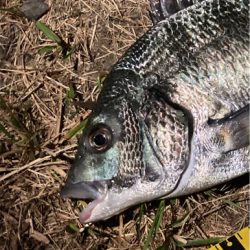 素人のチニング