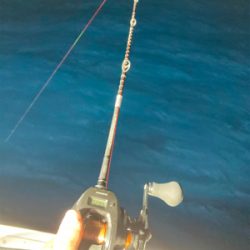 イカメタルゲーム