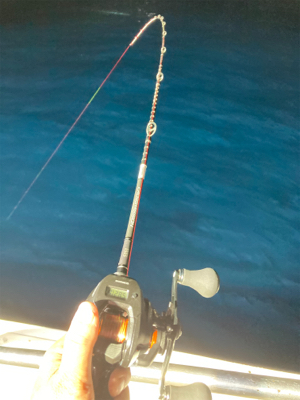 イカメタルゲーム