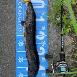 夕方から夜にかけてランガン