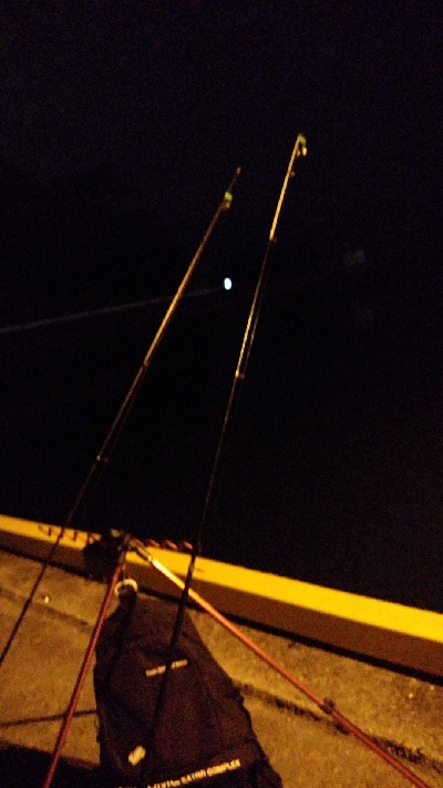 ぶっこみでチヌ、さめ、あなご等