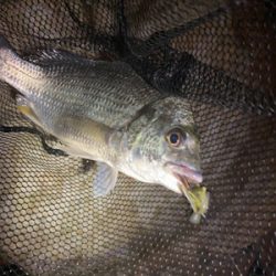 連休は釣りをするには向かない。