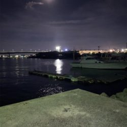 夕涼みがてらの投げ釣り