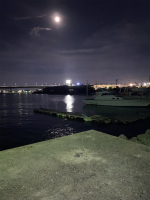 夕涼みがてらの投げ釣り