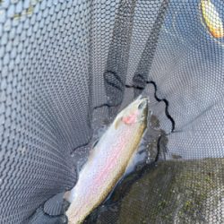 黒保根渓流フィッシング